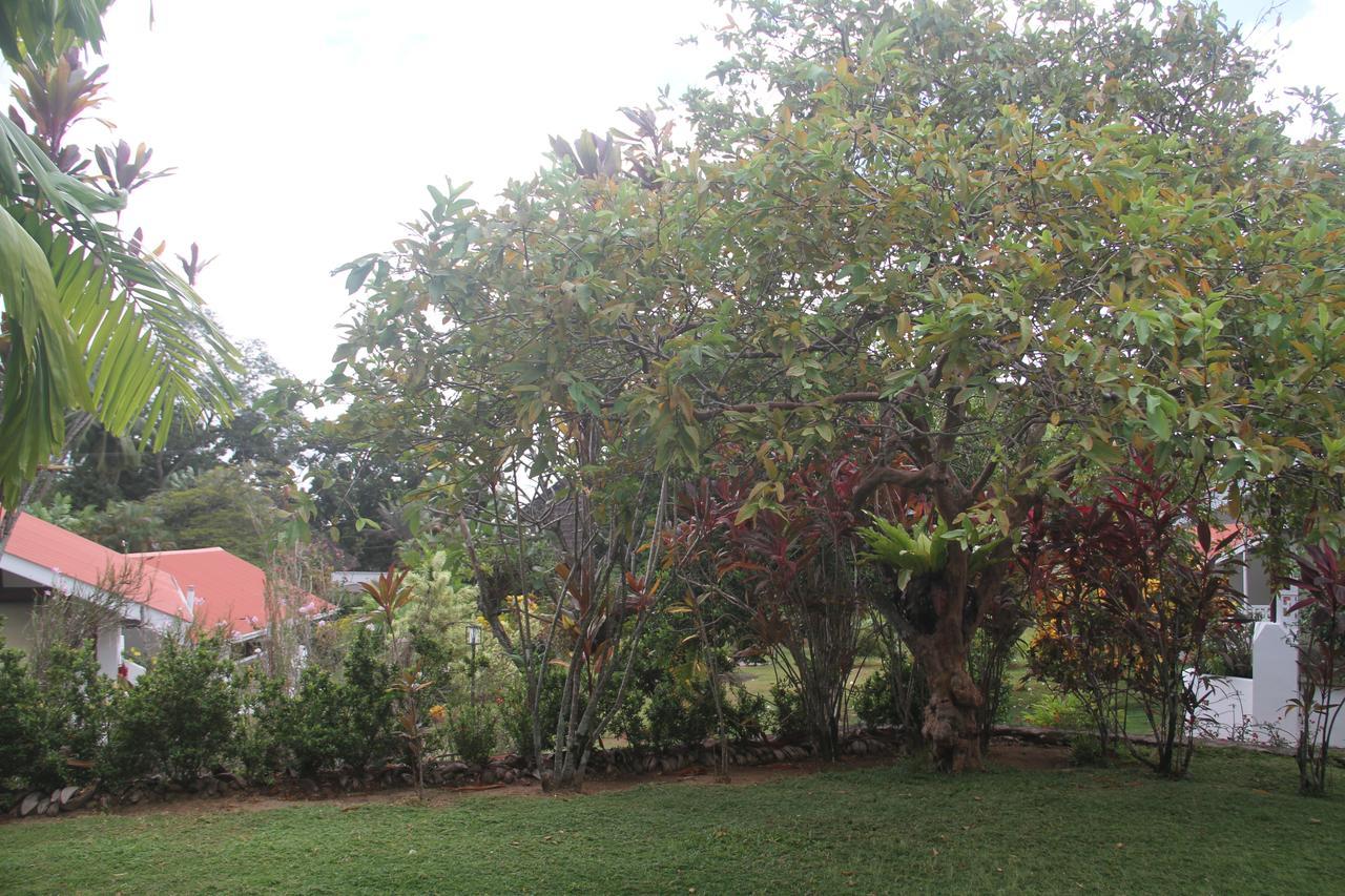Daniella'S Bungalows Bel Ombre Ngoại thất bức ảnh