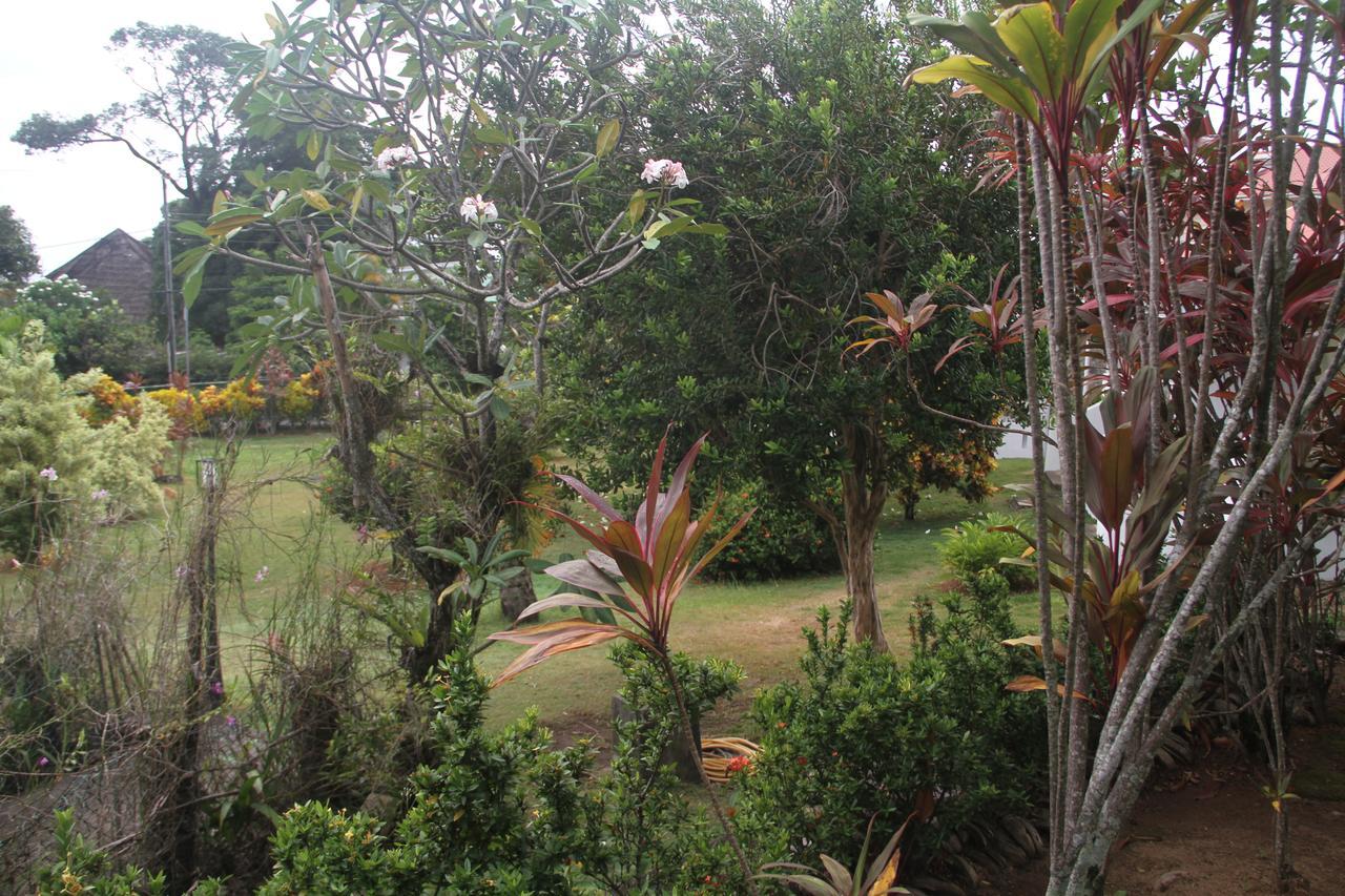 Daniella'S Bungalows Bel Ombre Ngoại thất bức ảnh