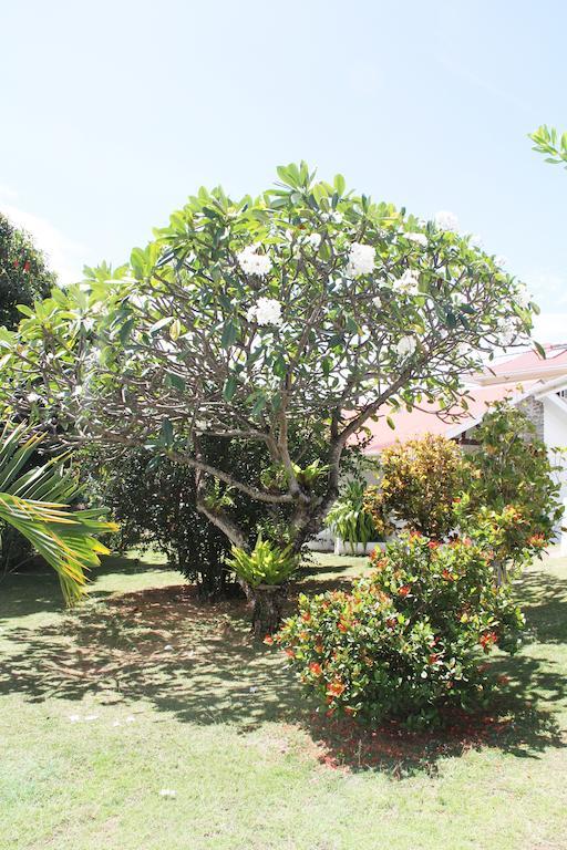 Daniella'S Bungalows Bel Ombre Ngoại thất bức ảnh